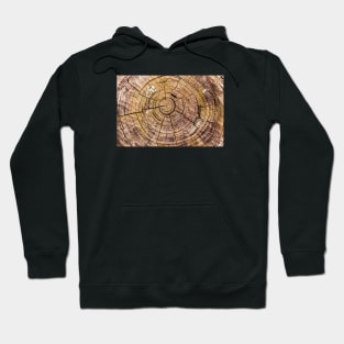 Tree Rings From Forest Harvest Hoodie